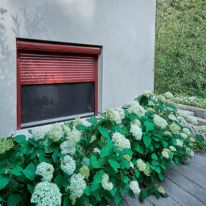 RENOSOFT_MOUSTIQUAIRE